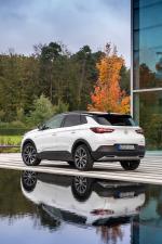 Opel Grandland X Hybrid4 2019 года
